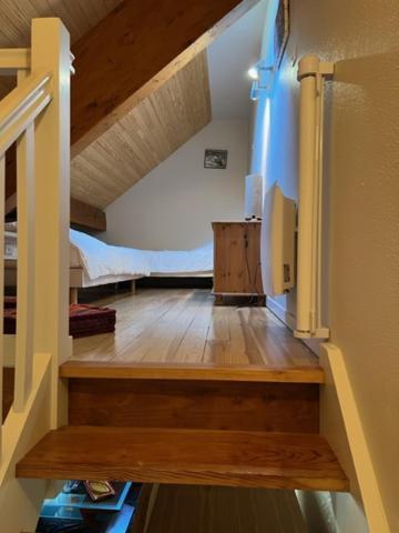 Appartement Style Chalet A Saint Lary Soulan. ภายนอก รูปภาพ